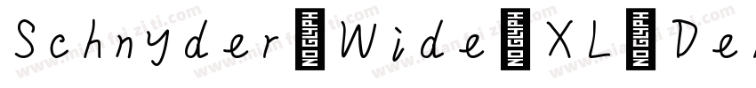 Schnyder Wide XL Dem字体转换